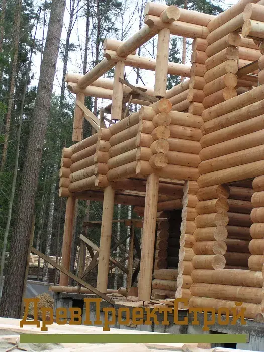 Изобажение галлереи-8