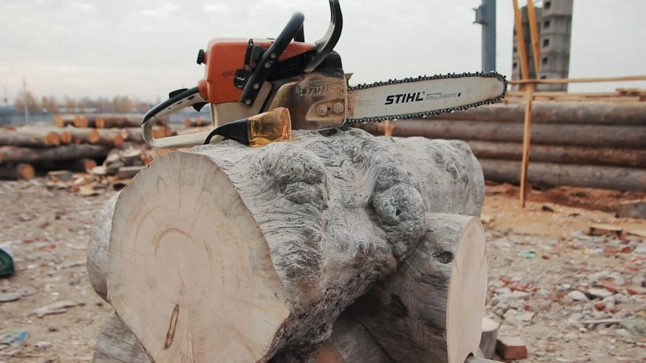 Карельская сухостойная сосна это: