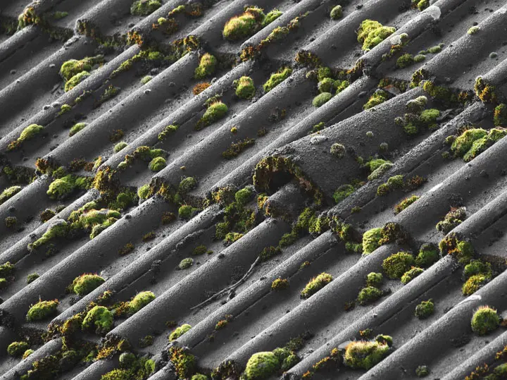 Восстанавлеваем цвета керамических и цементно-песчаных черепиц кровли.