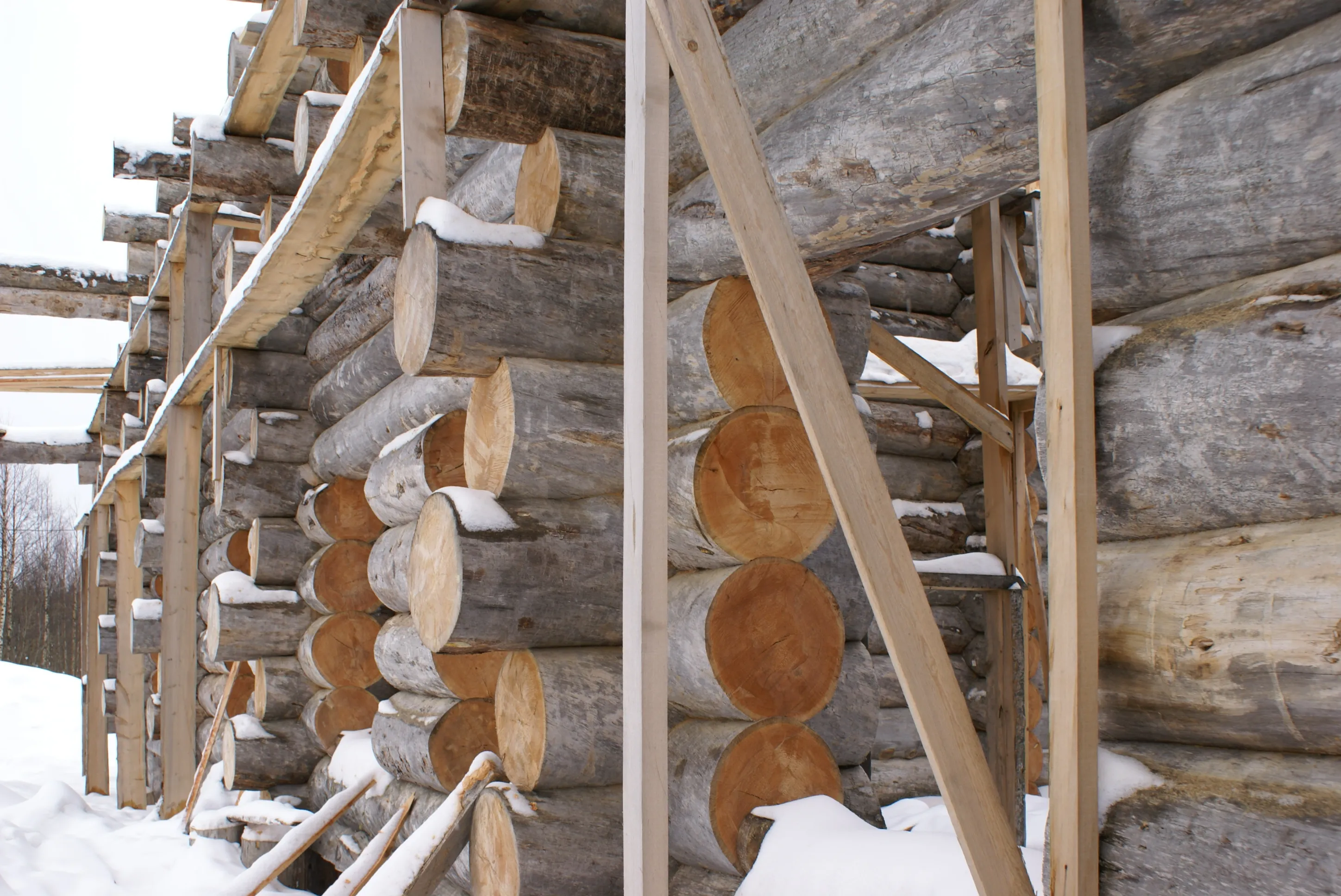 Изобажение галлереи-12