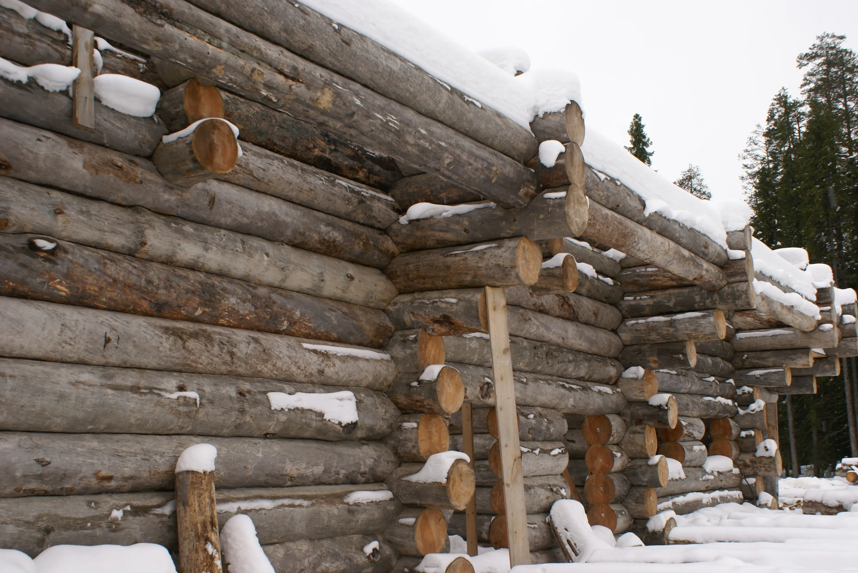 Изобажение галлереи-13