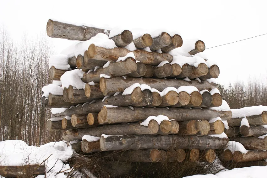 Изобажение галлереи-22