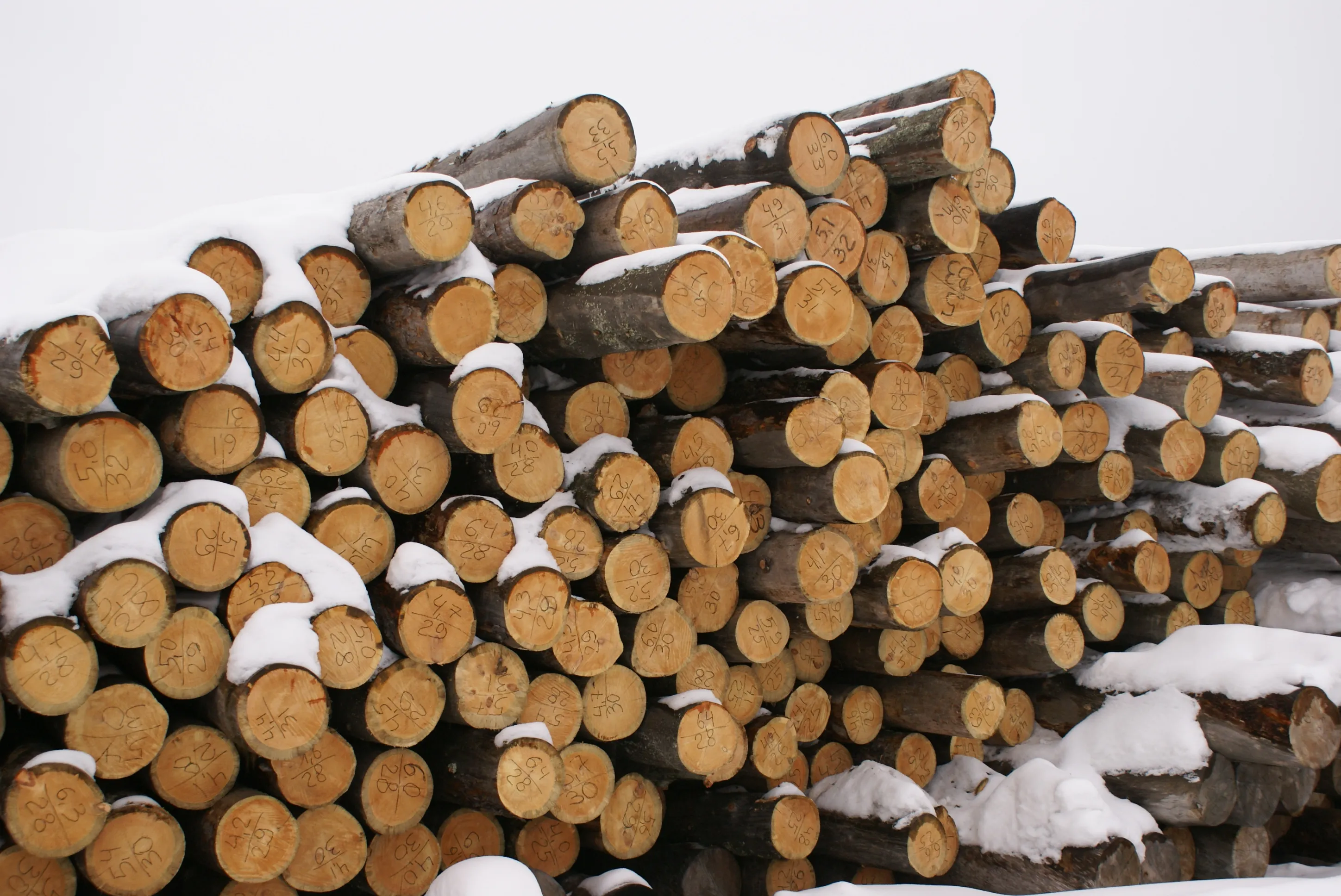 Изобажение галлереи-31