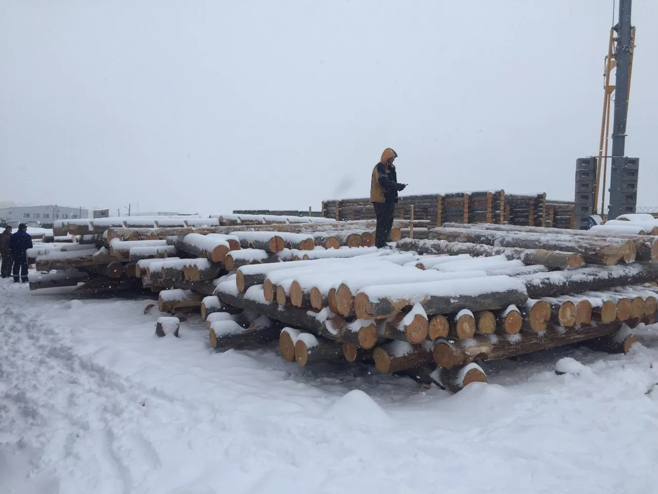 Изобажение галлереи-45