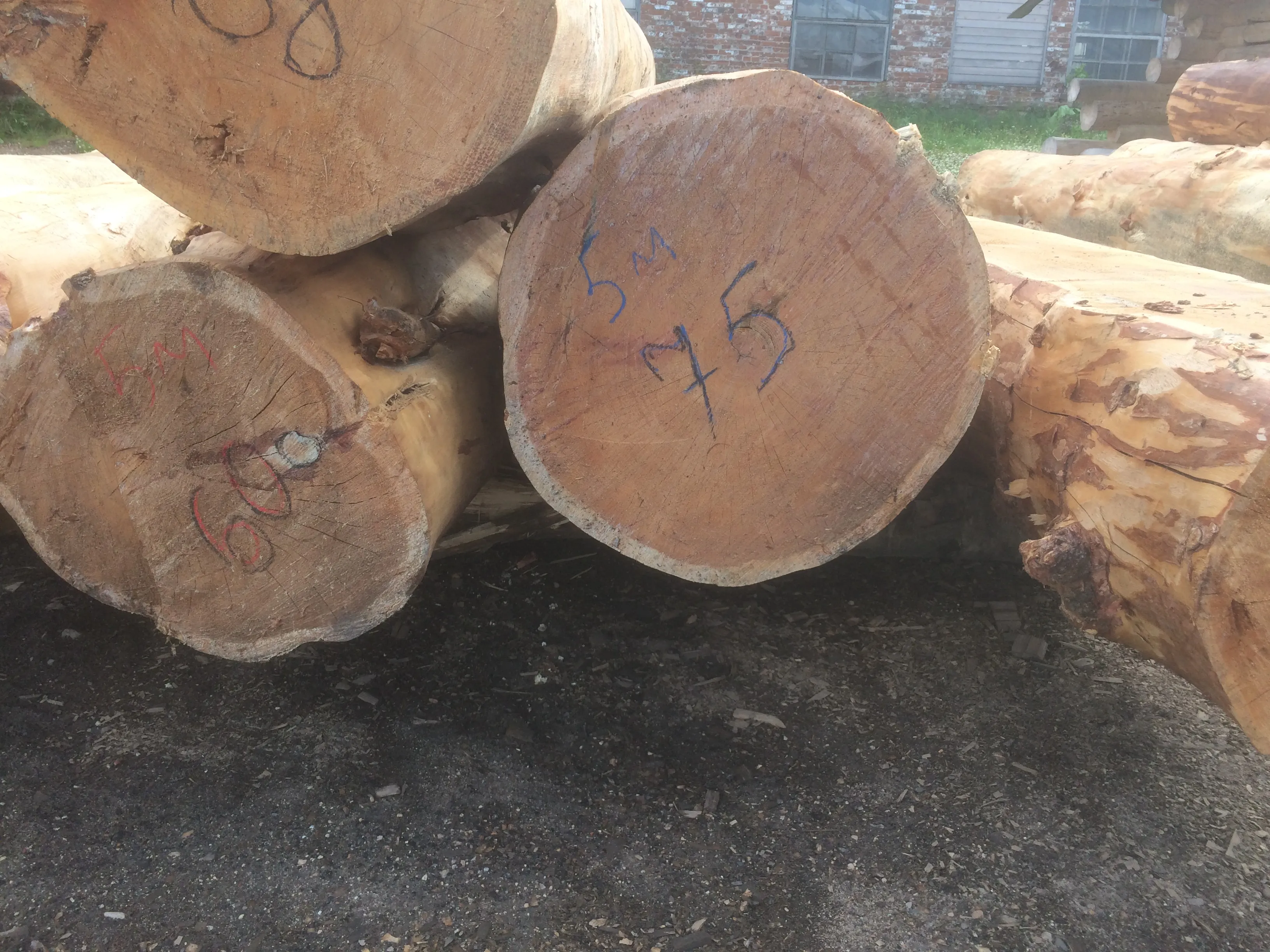 Изобажение галлереи-9