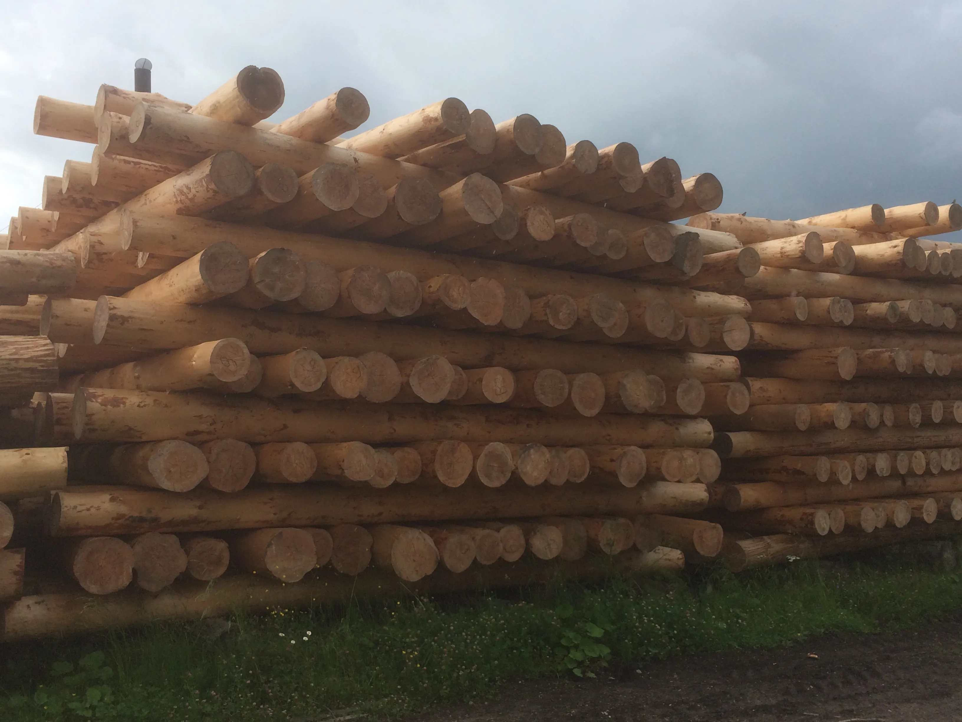 Изобажение галлереи-12