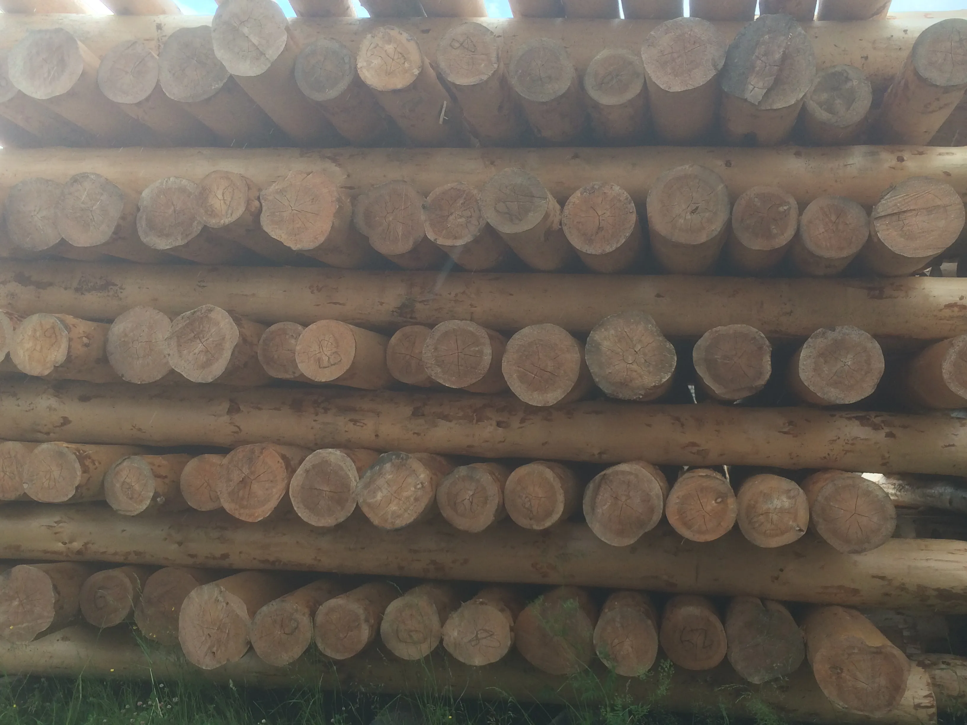 Изобажение галлереи-14