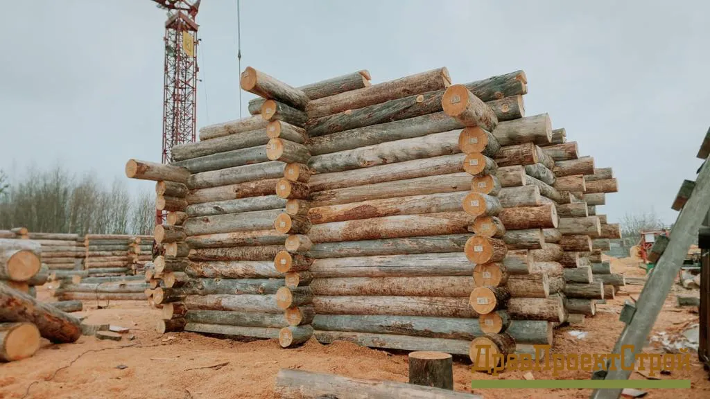 Изобажение галлереи-13