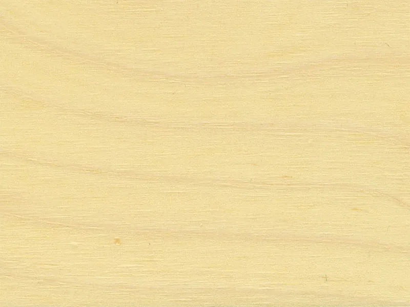 Изобажение галлереи-1